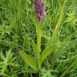 IMG_20200528_155734