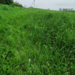 IMG_20200528_160055