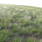 viktoriya-trotner-2