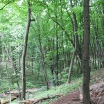 03-merd-yar-gen-vue-2007