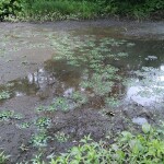 IMG_20200714_134541