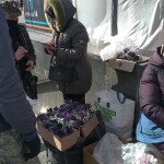 IMG_20210308_104733