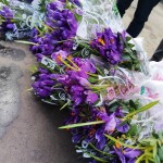 IMG_20210308_110654