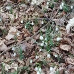 IMG_20210329_171945