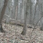 IMG_20210329_172834