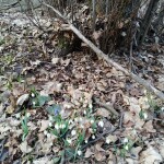 IMG_20210329_173605