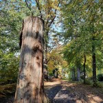 IMG-5a3720e1a308bcdcd102405ccd052cfd-V